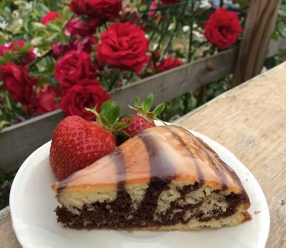 Willem Madise Holiday Homes Puhkemaja